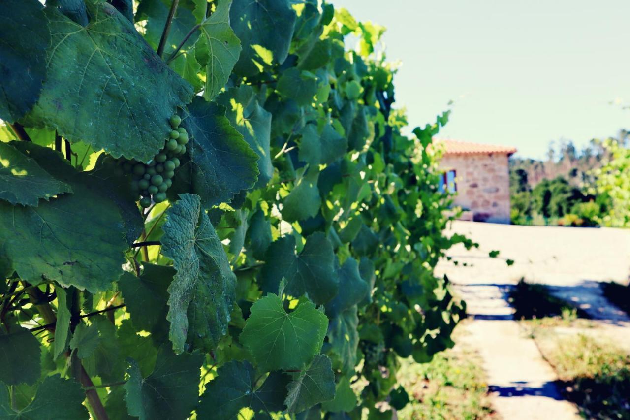 Quinta De Real Vila Valenca Exterior foto